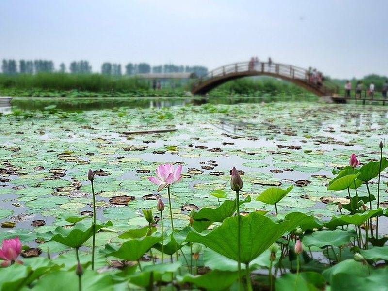 保定著名景点风光